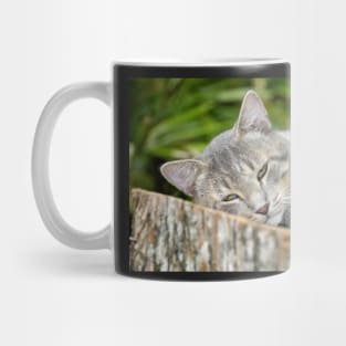 Grayboy Mug